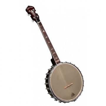 Custom Gold Tone IT-250 - Banjo Tenor Irlandais
