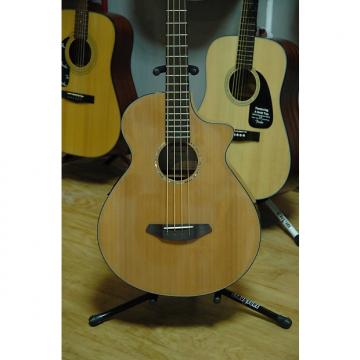 Custom Breedlove Solo Bass - Acoustic Bass