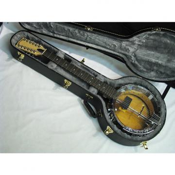 Custom GOLD TONE GT-1200 acoustic electric 12-string BANJITAR Banjo GUITAR new w/ CASE