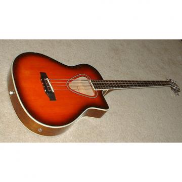 Custom Hohner 4 string acoustic bass guitar