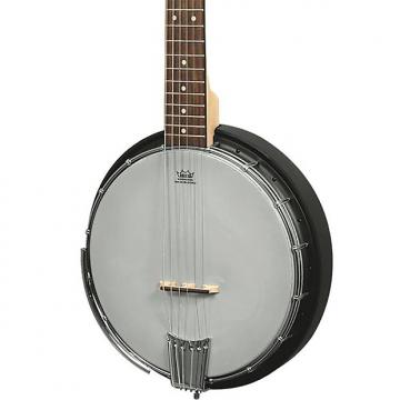 Custom Gold Tone Ac6+ 6 String Banjo W/ Electronics And Bag