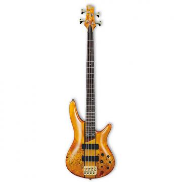 Custom Ibanez SR800 SR-Series Bass Guitar | Poplar Burl Top - Amber