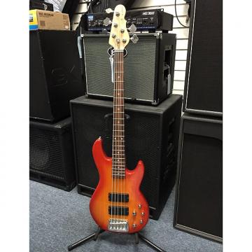 Custom G&amp;L M2500 Tribute Series 5 String electric bass Honeyburst over Ash  Brand New!