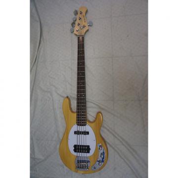 Custom New 5 string bass guitar