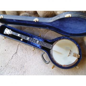 Custom Vega Folk Pro 5 string open back 1961 sunburst