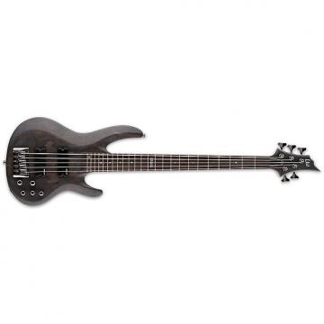 Custom ESP LTD B-205 SM STBLKS 5-String Spalted Maple Top Electric Bass Guitar - See Thru Black Satin Finish (LB205SMSTBLKS)