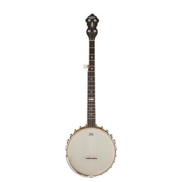 Custom Gretsch Guitars Dixie Special Amber Roots Collection 5-String Open-Back Banjo