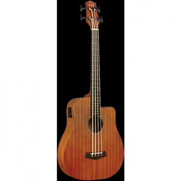 Custom GOLD TONE MicroBass M-Bass 25&quot; scale FRETLESS 4-string A/E BASS guitar w/GIG BAG