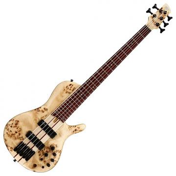Custom Ibanez SRSC805 Cerro Single Cutaway 5-String Bass Guitar