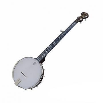 Custom Deering Artisan Goodtime Special 5-String Banjo