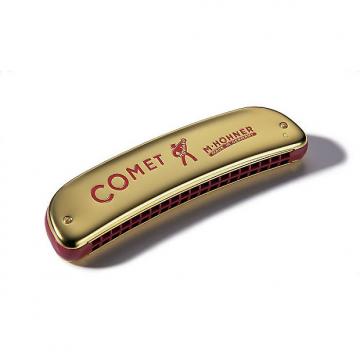 Custom Hohner 2504C Comet 40 Octave Harmonica - Key of C New!