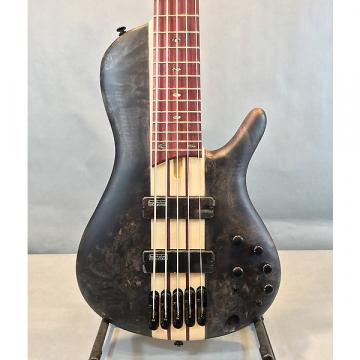 Custom Ibanez Bass Workshop SRC805-DTF 5-String Electric Bass