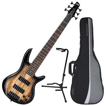 Custom Ibanez GSR206SM Spalted Maple Electric Bass Bundle