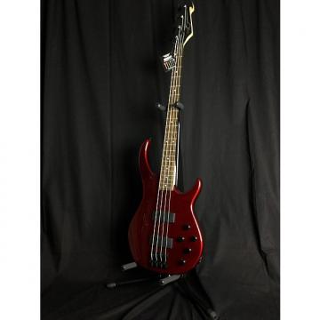 Custom Peavey Millennium AC4 Bass