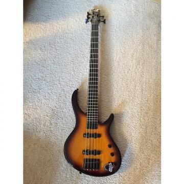 Custom Tobias Toby 5 String Bass