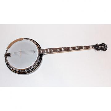 Custom Fender Robert Schmidt Signature Plectrum 4 String Electric Banjo w/ Case
