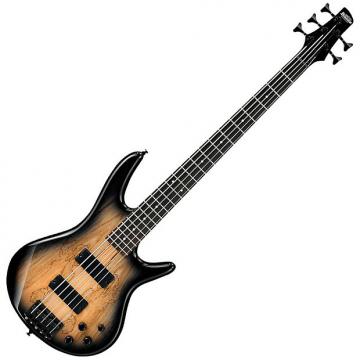 Custom Ibanez GSR205 5-String Electric Bass Gray Burst