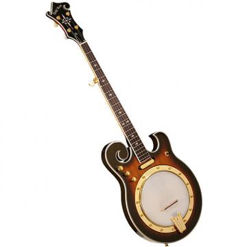 Custom Gold Tone EBM-5 5 String Electric Banjo