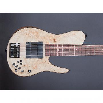 Custom Fodera Matt Garrison Standard 5 String Bass | Fodera guitars