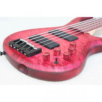 Custom MTD 535 AG 5 bass || Andrew Gouche Michael Tobias Design