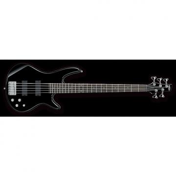 Custom Ibanez GSR205 5-String Electric Bass