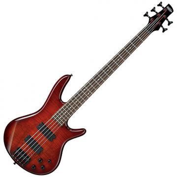 Custom Ibanez GSR205 5-String Electric Bass Charcoal Brown