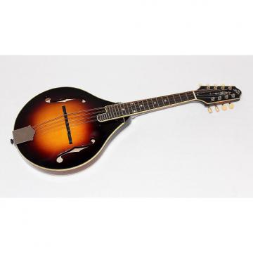 Custom The Loar LM-300-VS Hand-Carved A-Style All Solid Mandolin