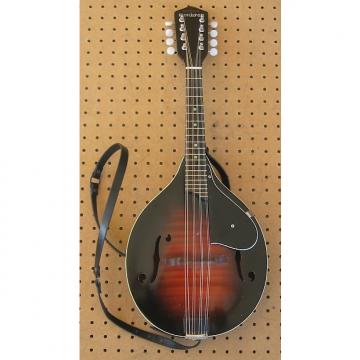 Custom Harmony Monterey Mandolin 59-60