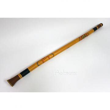 Custom Didgeridoo PVC with a Hand Painted Lizard Design