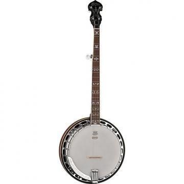 Custom Washburn B16K Banjo (5 String) Tobacco Sunburst Gloss