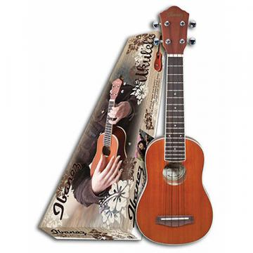 Custom Ibanez Acoustic Ukulele IUKS5 •