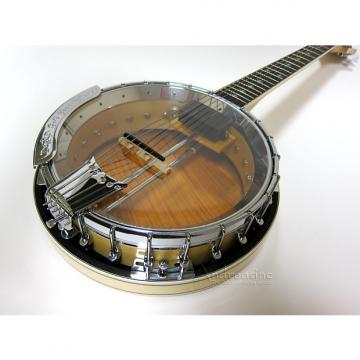 Custom Gold Tone 6-String Banjitar Deluxe
