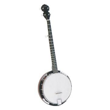 Custom Savannah 18 Bracket Banjo
