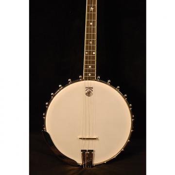Custom Deering Vega #2 17-Fret Tenor Banjo