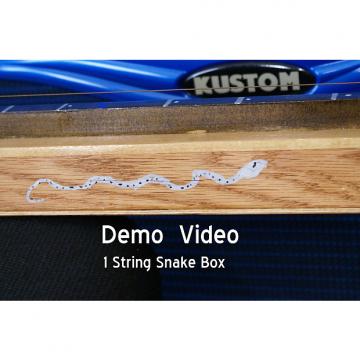 Custom Kountry Cuz Snake Box The First 1 String Snake Box 2013 Wood