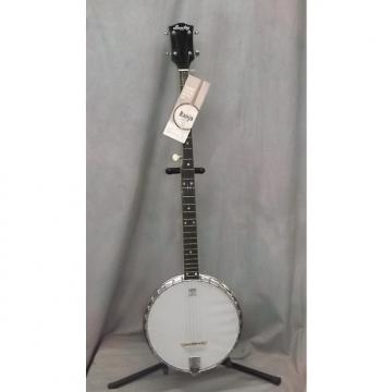 Custom 1970's Barclay-Banjo