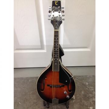 Custom Tanglewood Tme-Av Acoustic electric mandolin New