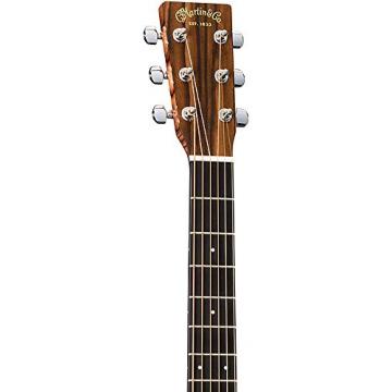 Martin martin acoustic guitar strings GPCX2AE martin Macassar martin guitars martin guitar accessories dreadnought acoustic guitar