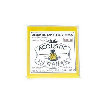 Asher Acoustic Hawaiian Lap Steel Strings, Single Set