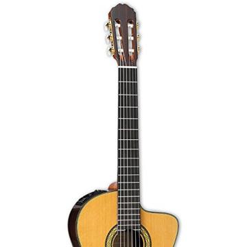 Takamine TH5C-KIT-2 Classical Nylon String Acoustic Guitar with Hard Case &amp; ChromaCast Accessories