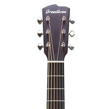 Breedlove Discovery Dreadnought Acoustic Guitar with ChromaCast 12 Pick Sampler and Breedlove Gig Bag