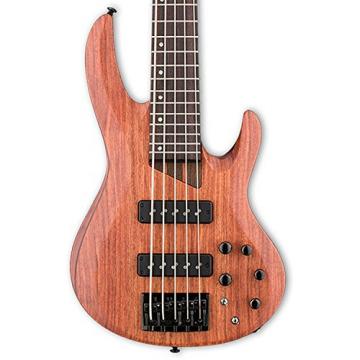 ESP LB1005SEBNS-KIT-1 B Series B-1005SE 5-String Electric Bass Guitar, Natural Satin