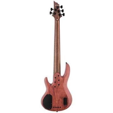 ESP LB1005SEBNS-KIT-1 B Series B-1005SE 5-String Electric Bass Guitar, Natural Satin