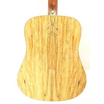 Washburn WCSD40SK Woodcraft Series Acoustic Guitar w/Hard case plus More
