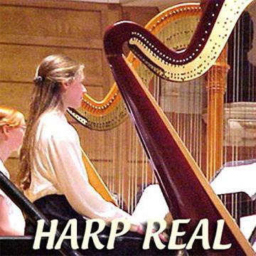 HARP PLATINUM Collection - HUGE 24bit Multi-Layer Samples Sound Library and Production tools 4,47GB on DVD