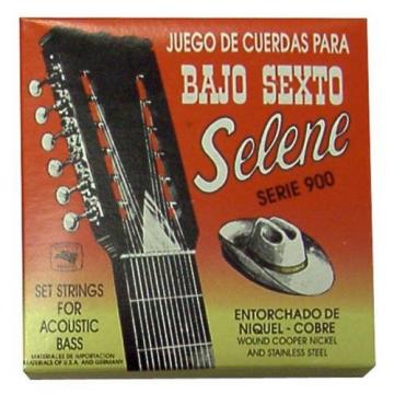 Paracho Elite BS950BR Bronze Bajo Sexto 12 String Set