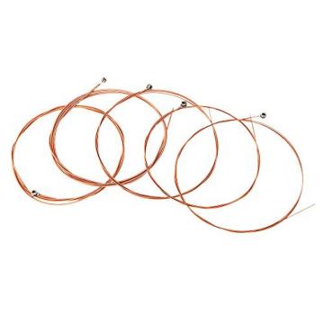 Petbly(TM) Alice A2012 12-String Guitar String Stainless Steel Core Coated Copper Alloy Design for Acoustic Folk Guitar New Arrival
