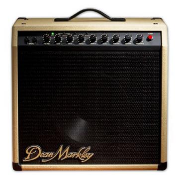 Dean Markley CD60 Tube Guitar Amplifier