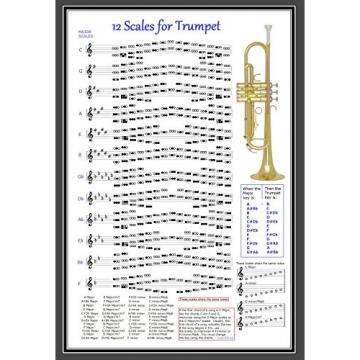 TRUMPET 12 SCALES POSTER