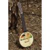 Custom 1920s Unmarked Hawaiian-decal Openback Banjo Ukulele